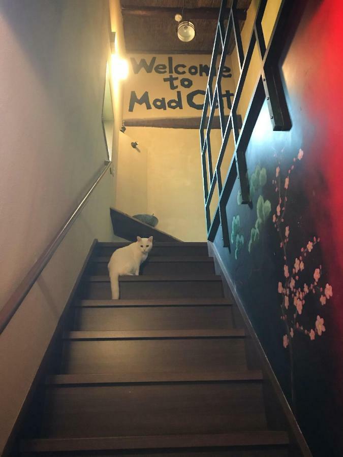 Mad Cat Hostel Osaka & Bar Εξωτερικό φωτογραφία