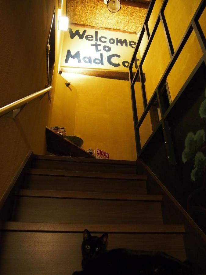 Mad Cat Hostel Osaka & Bar Εξωτερικό φωτογραφία